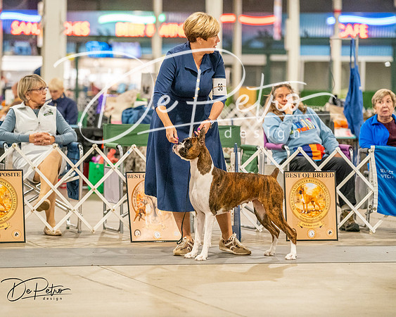 20261022-DSC01783