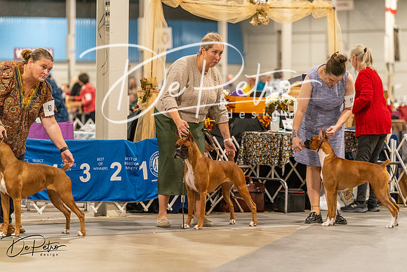 20261023-DSC05251