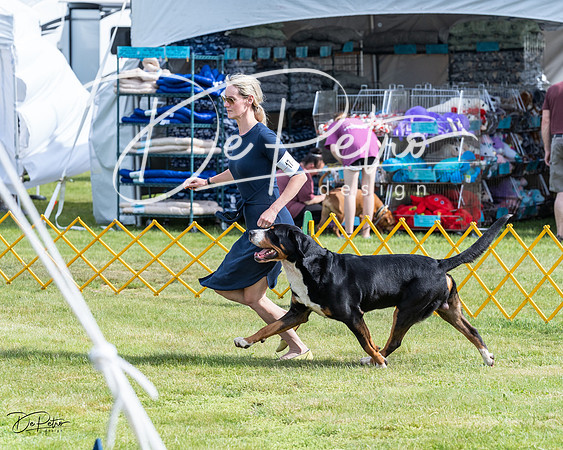 20230513-DSC00531