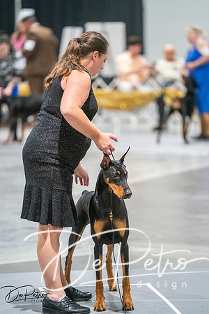 20260926-DSC04158