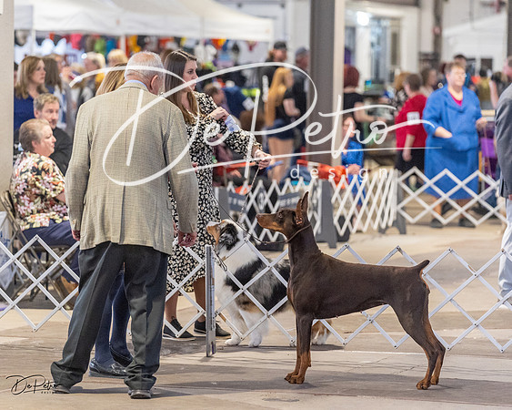 20230401-DSC06634