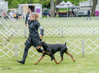 20230428-DSC07697