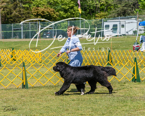 20230514-DSC03840
