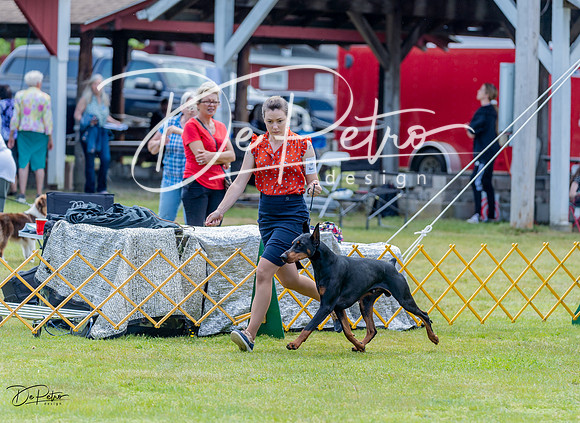 20230513-DSC08695