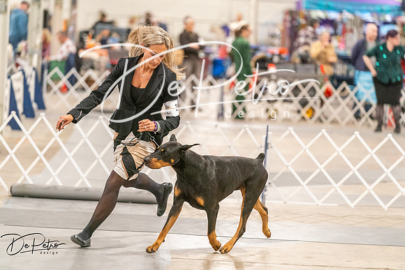 20261024-DSC00807