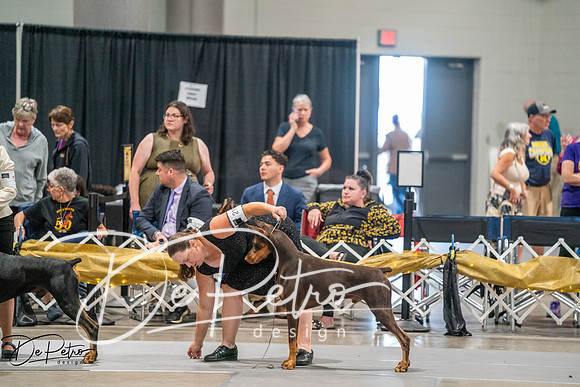 20260926-DSC04222