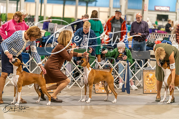 20261023-DSC04949