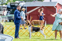 20230513-DSC09363