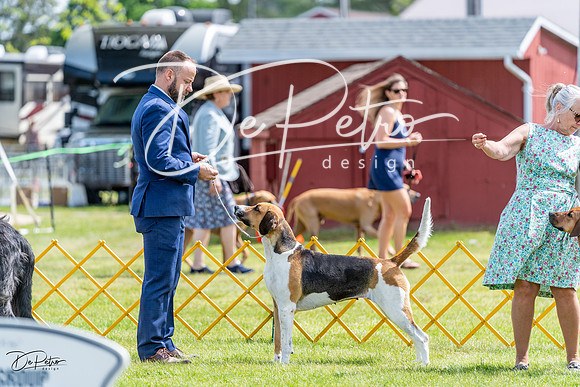 20230513-DSC09363