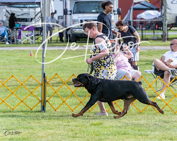 20230513-DSC01095