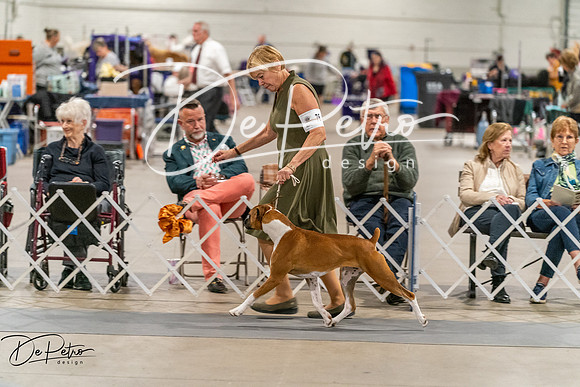 20261023-DSC05001