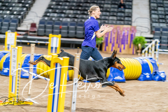 20260929-DSC06737
