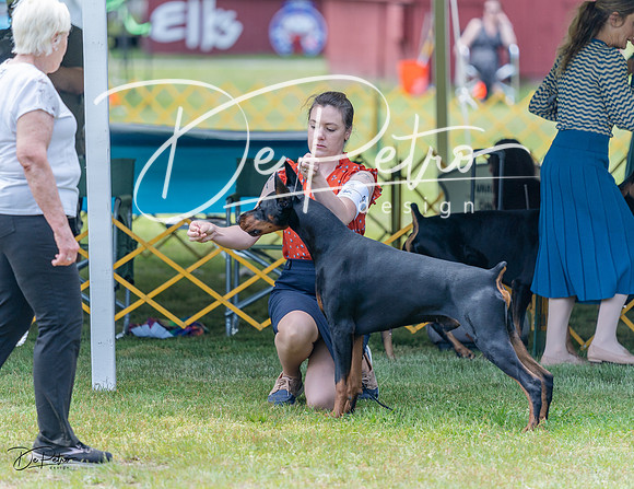 20230513-DSC08755