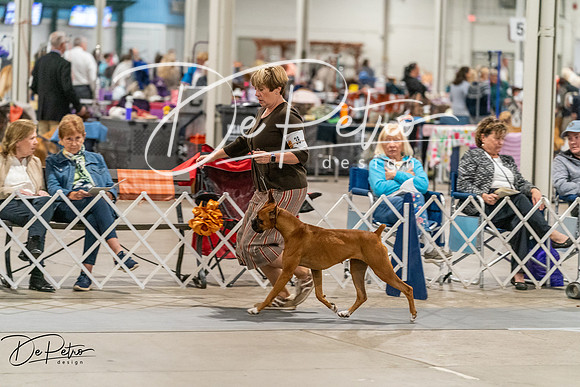 20261023-DSC05012