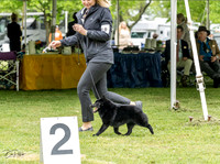 20230427-DSC05375