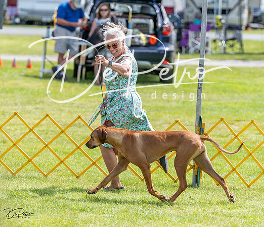 20230513-DSC09527
