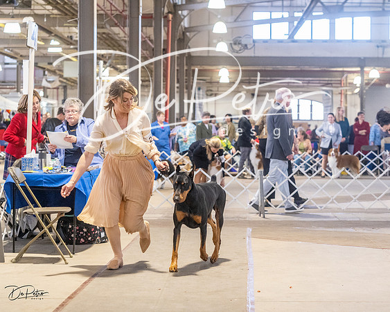20230401-DSC06592