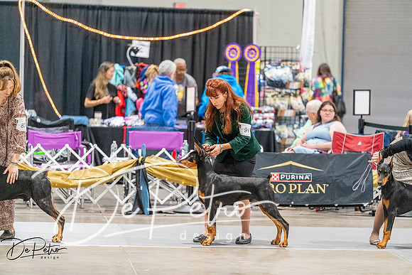 20261001-DSC07198