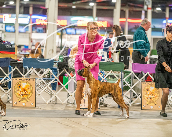 20261022-DSC01703