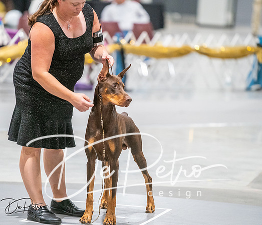 20260926-DSC04068