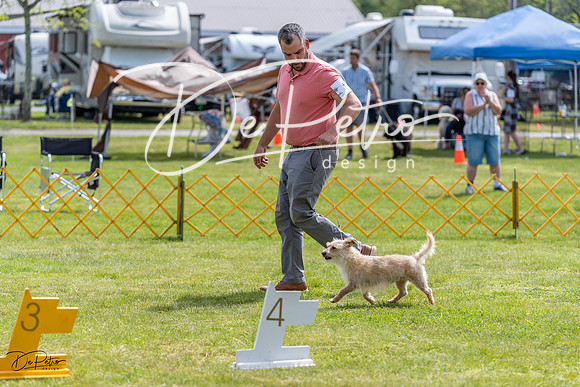 20230513-DSC09700