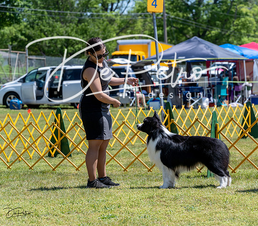 20230514-DSC04813