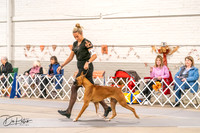 20261024-DSC08333