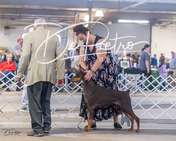 20230401-DSC06423