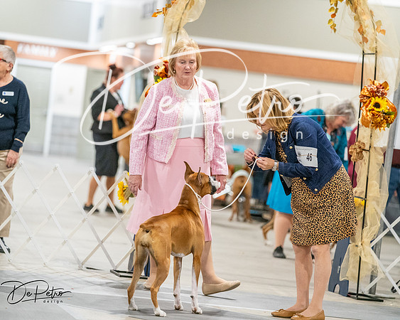 20261022-DSC03075