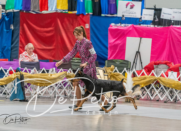 20260926-DSC04930