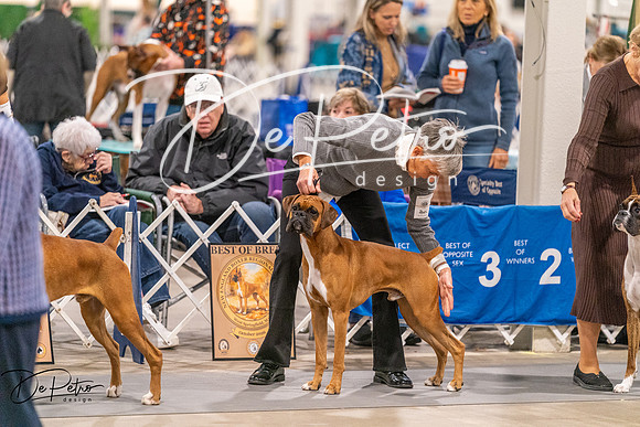 20261024-DSC08403