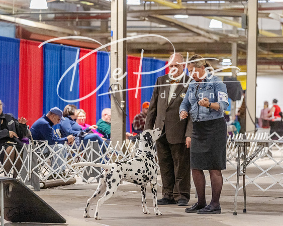 20230401-DSC07122