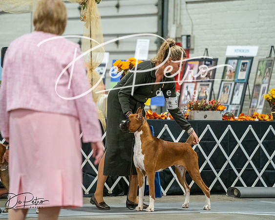 20261022-DSC02751