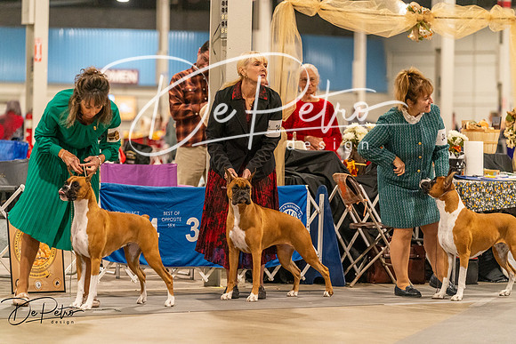 20261023-DSC05477