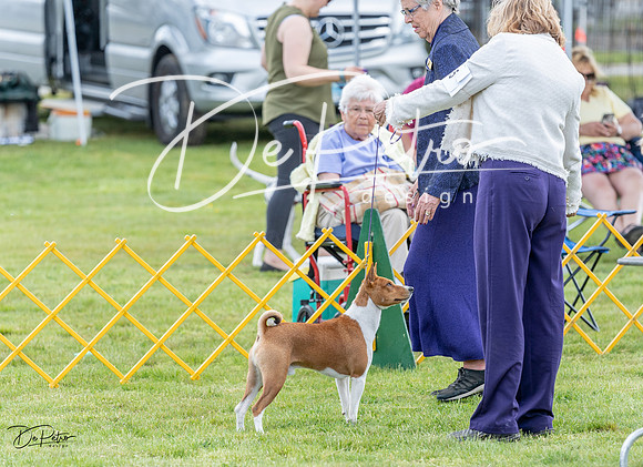 20230512-DSC03741