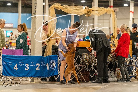 20261023-DSC05319