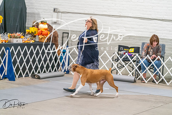 20261022-DSC00861