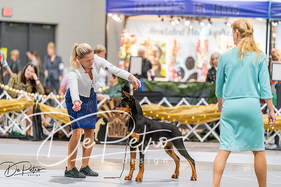 20260930-DSC07023