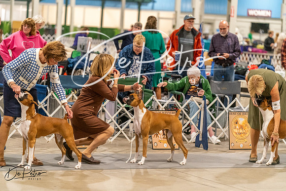 20261023-DSC04950