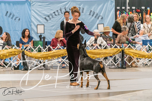20260928-DSC06222