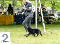 20230427-DSC05373