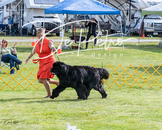 20230513-DSC00953