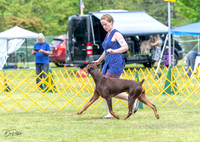 20230513-DSC08101