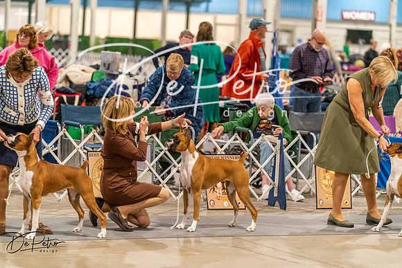 20261023-DSC04951