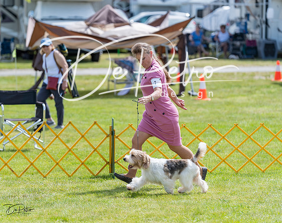 20230513-DSC09666