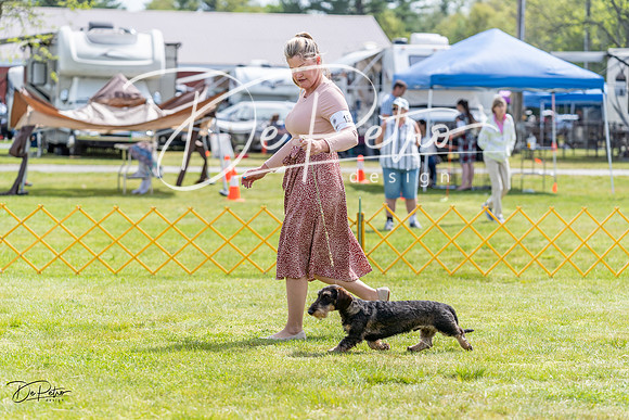 20230513-DSC09737