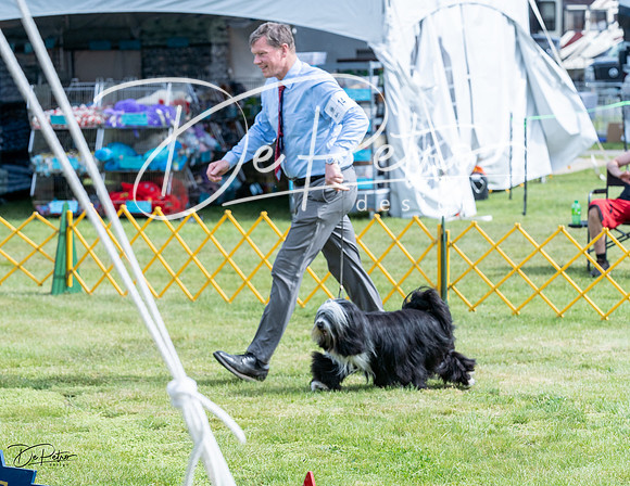 20230513-DSC00228