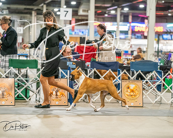 20261022-DSC01668