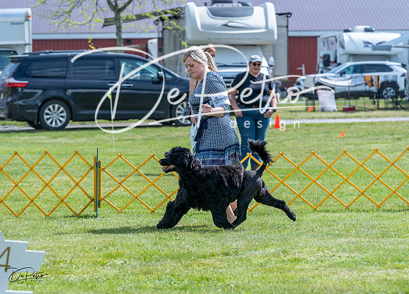 20230512-DSC05205