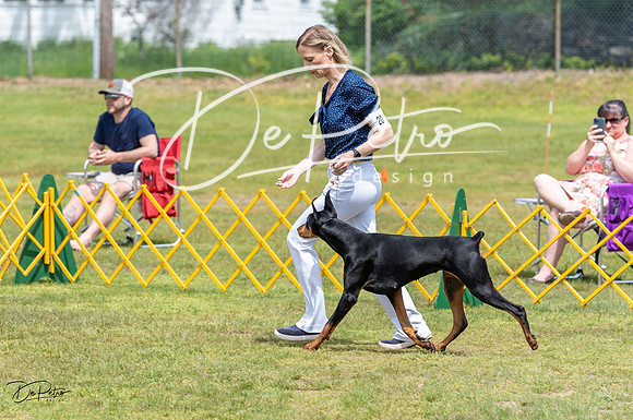 20230513-DSC08393